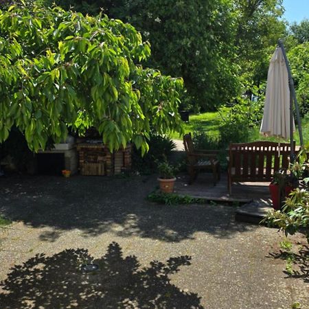 Appartement avec jardin à Colmar Exterior foto